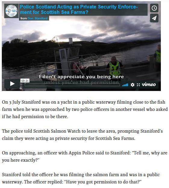 Ferret police 2 Aug 2019 #3 Ferret police 2 Aug 2019 #3