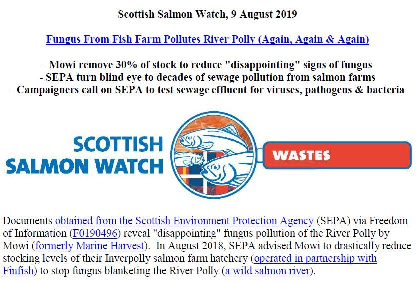 PR Fungus at Mowi Fish Farm in River Polly 9 August 2019 #1