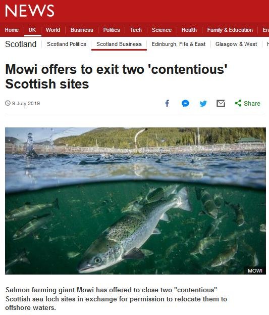 Blog Move it Mowi #9 Blog Move it Mowi #9