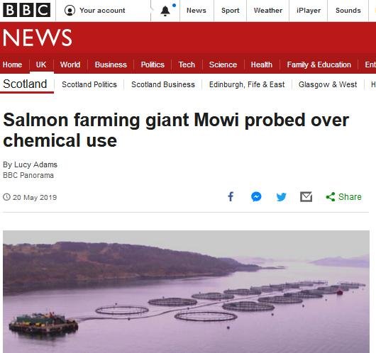 Blog Move it Mowi #37 Blog Move it Mowi #37