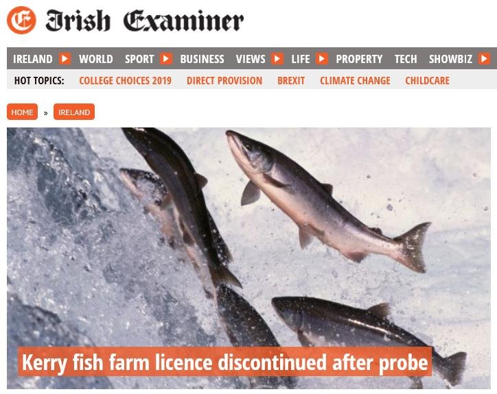 Blog Move it Mowi #43 Blog Move it Mowi #43