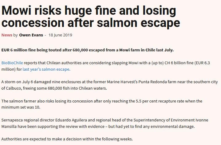 Blog Move it Mowi #45 Blog Move it Mowi #45