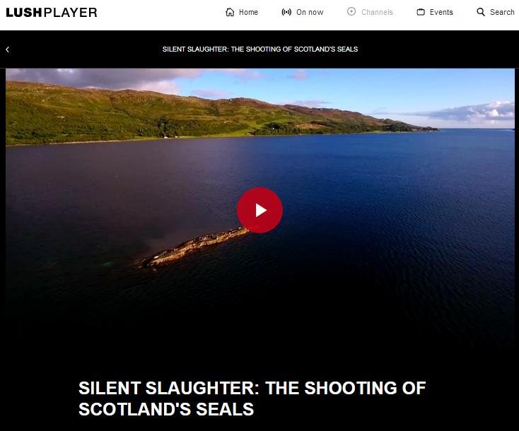 Blog Move it Mowi #46