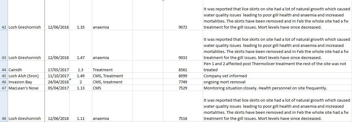 FHI Morts #5 new one FHI Morts #5 new one