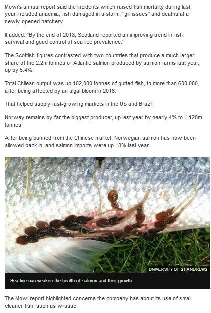 BBC Sea Lice Blamed for Major Fall in Tonnage 28 March 2019 #3