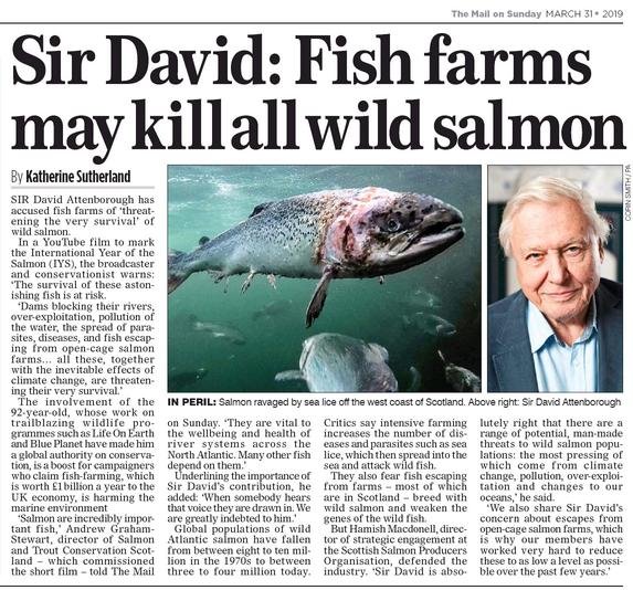 Mail On Sunday 31 March 2019 #Newspaper version in full Mail On Sunday 31 March 2019 #Newspaper version in full