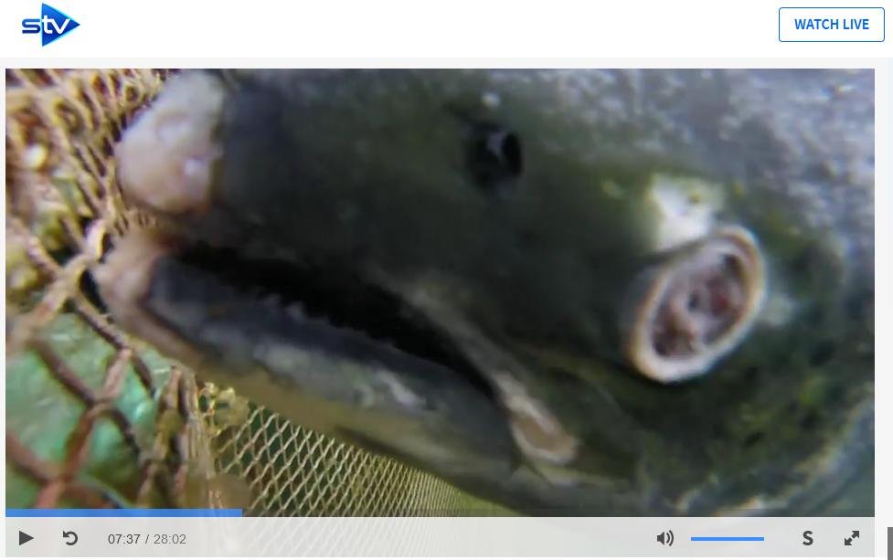 STV News 19 June 2019 TV version #5