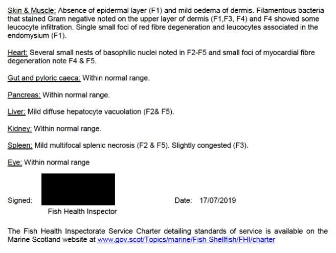 FHI June 2019 inspection report #10