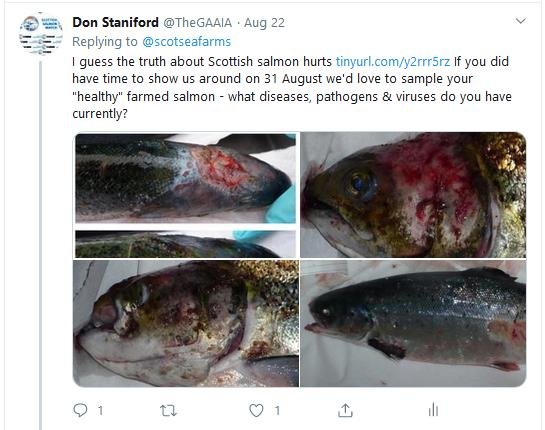 Jordan Tennant retarded motherfucker Tweet # ssf reply#2