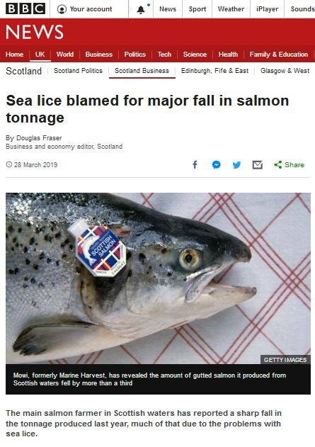 BBC Sea Lice Blamed for Major Fall in Tonnage 28 March 2019 #1 BBC Sea Lice Blamed for Major Fall in Tonnage 28 March 2019 #1