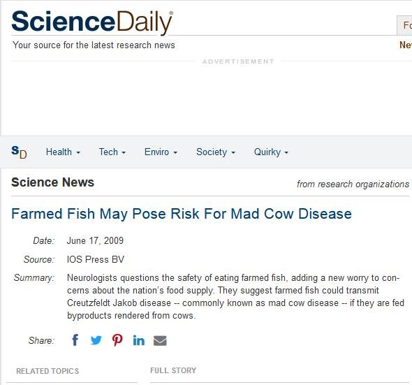 Blog #1 Mad cow Blog #1 Mad cow