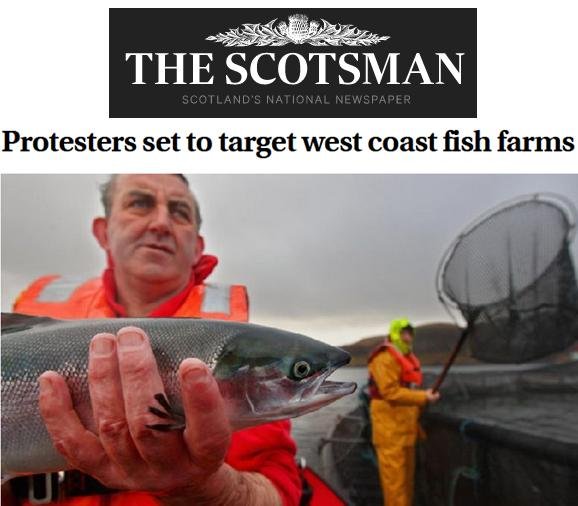 Scotsman 27 Aug 2019 #1