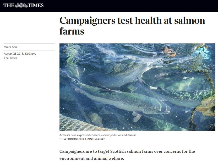 Times 28 Aug 2019 #1