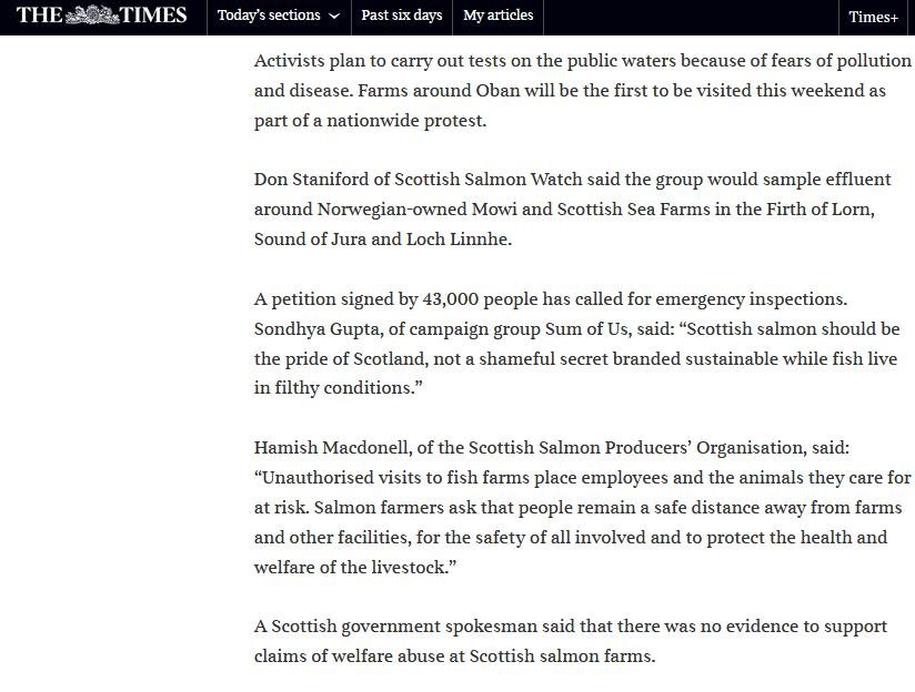 Times 28 Aug 2019 #2