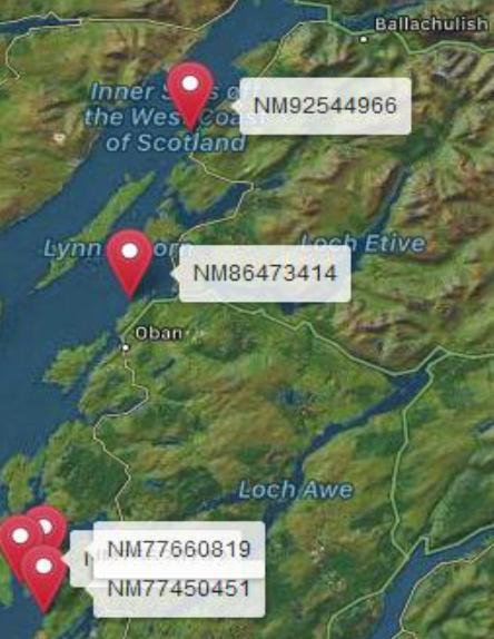 Media Backgrounder & Schedule for Swim for Salmon 31 Aug & 1 Sept 2019 #3