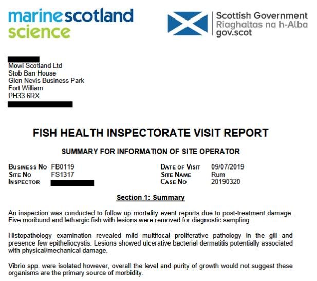 FHI July 2019 Rum #12