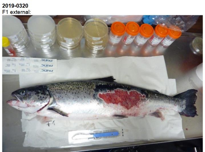 FHI July 2019 Rum Photo #1