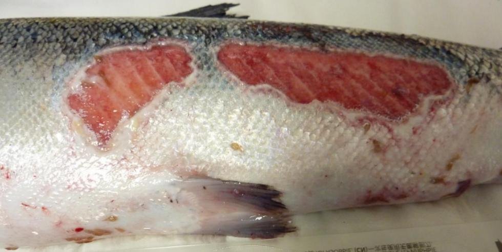 FHI July 2019 Rum Photo #4 FHI July 2019 Rum Photo #4