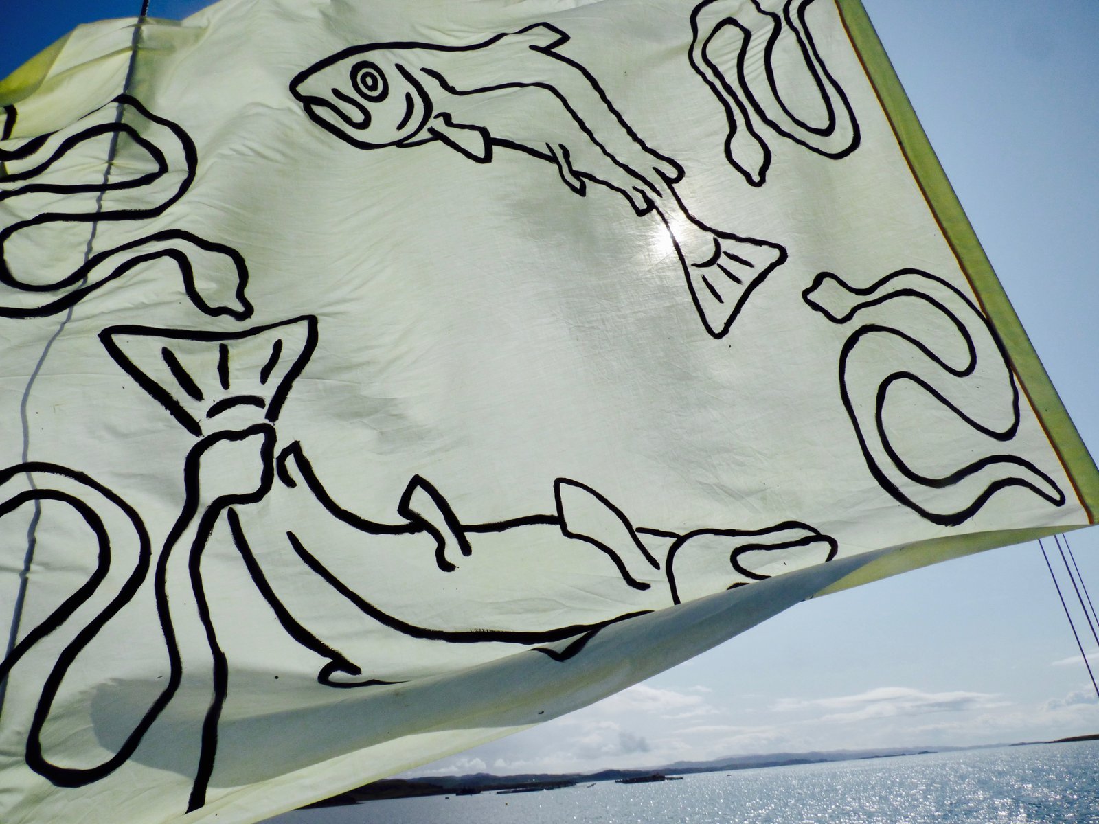 Photo #5 flag with salmon farm under Photo #5 flag with salmon farm under