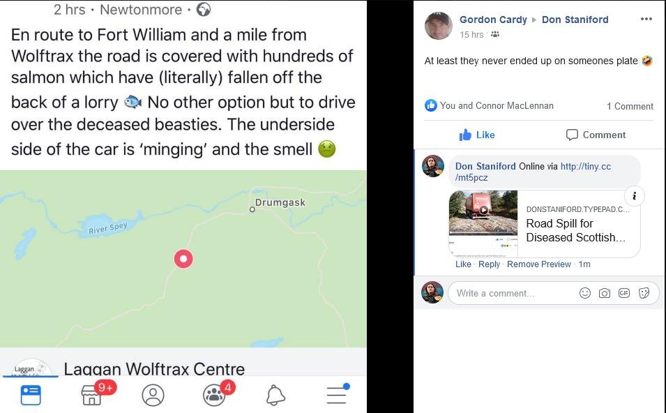 William Haughton Facebook video #9 Cardy post William Haughton Facebook video #9 Cardy post