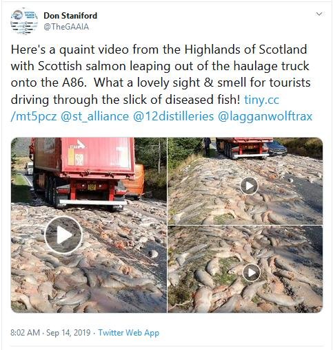 William Haughton Facebook video # Don Tweet re tourists William Haughton Facebook video # Don Tweet re tourists