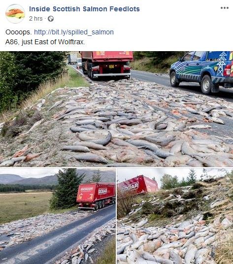 William Haughton Corin Smith post Facebook