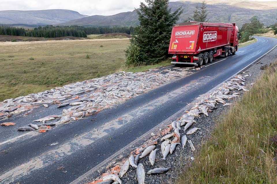 William Haughton Corin Smith post photo #2