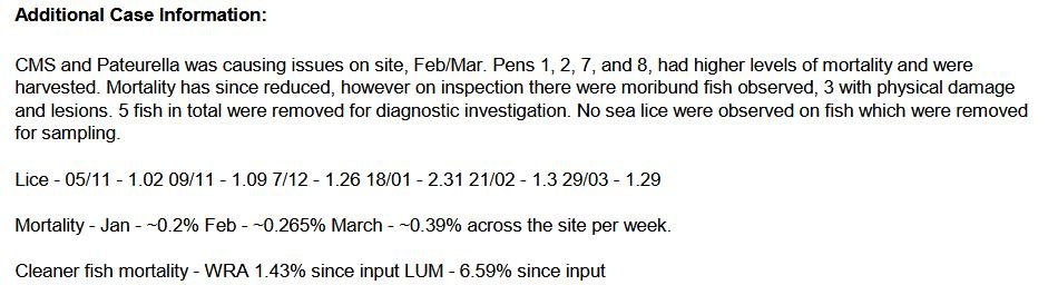 FHI April 2019 Kingairloch #2 FHI April 2019 Kingairloch #2