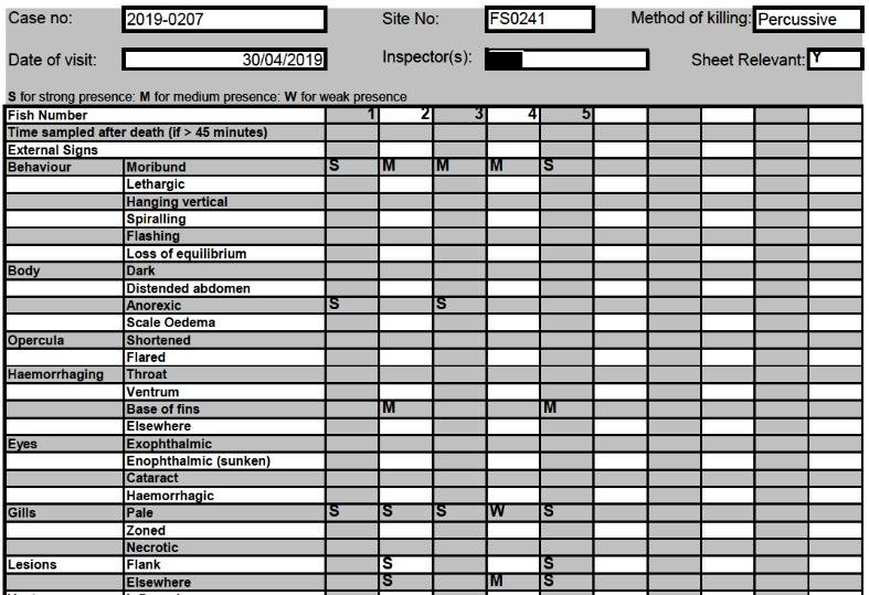FHI April 2019 Kingairloch #5 FHI April 2019 Kingairloch #5