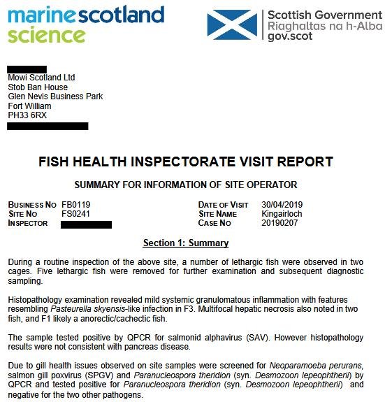 FHI April 2019 Kingairloch #7 FHI April 2019 Kingairloch #7