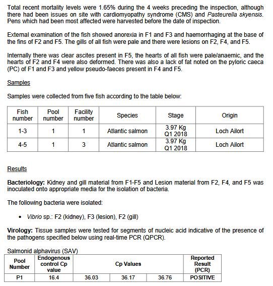 FHI April 2019 Kingairloch #8 FHI April 2019 Kingairloch #8