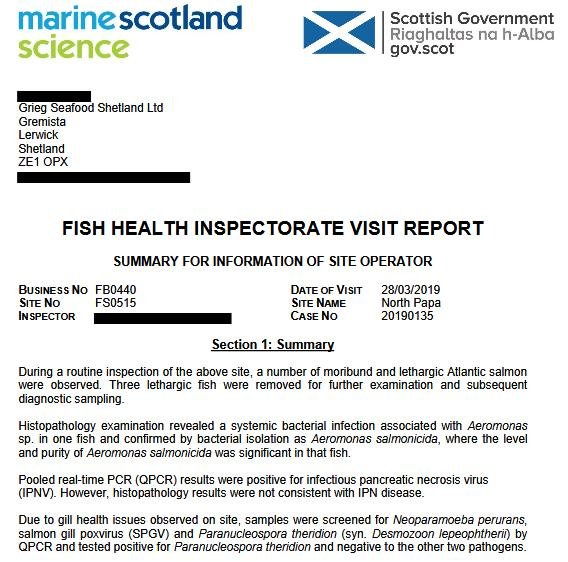 FHI March 2019 North Papa #6