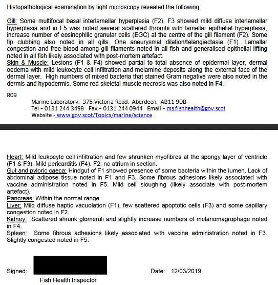 FHI Case Information Strondoir Bay Feb 2019 #10