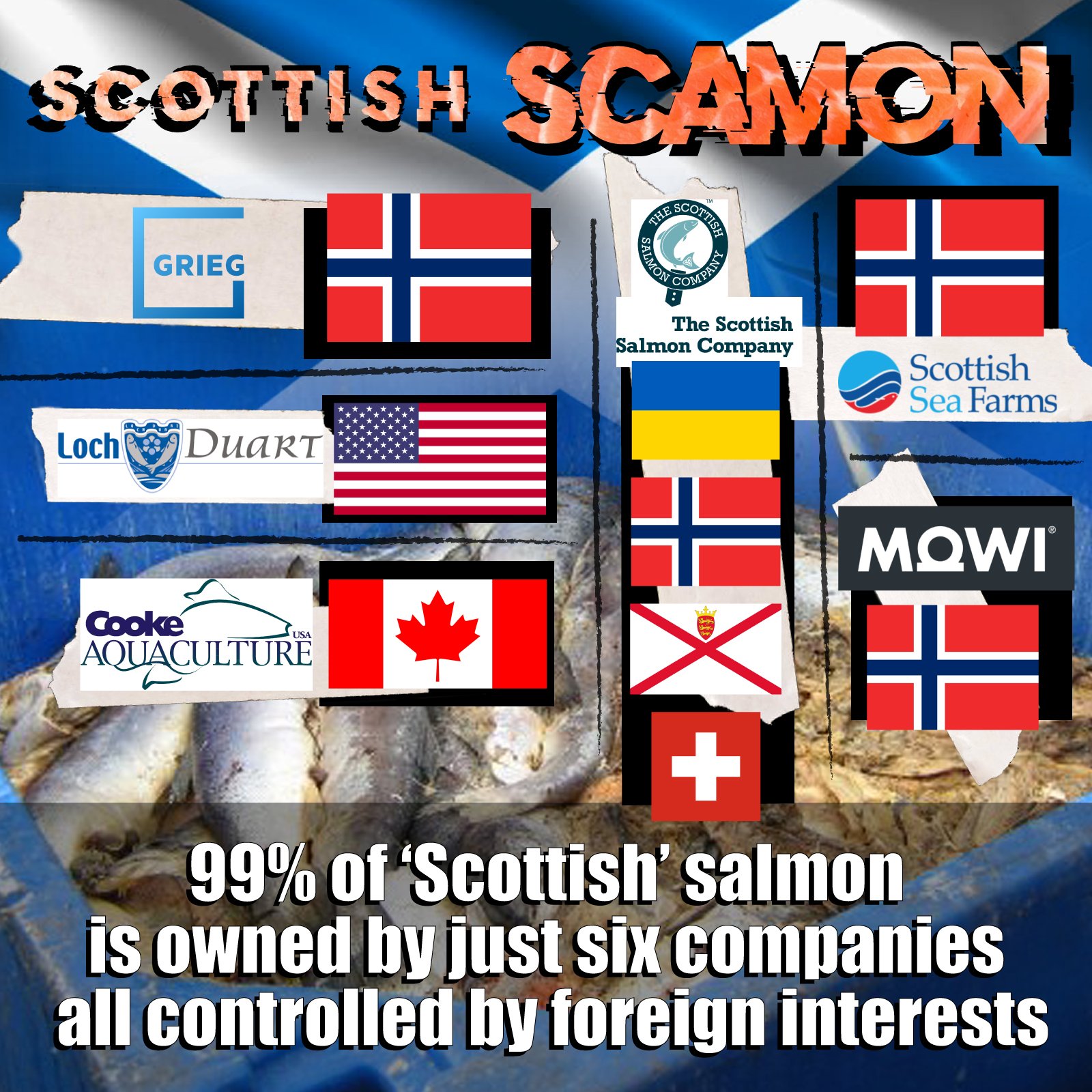 ScamonFlags-2a ScamonFlags-2a