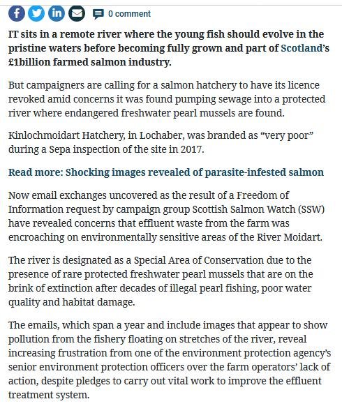 Herald 17 May 2019 #2