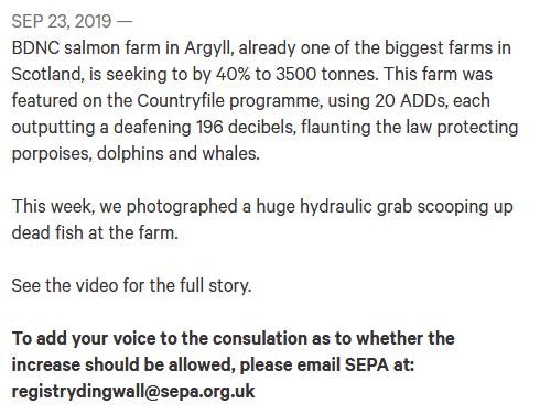 David Ainsley Petition #2