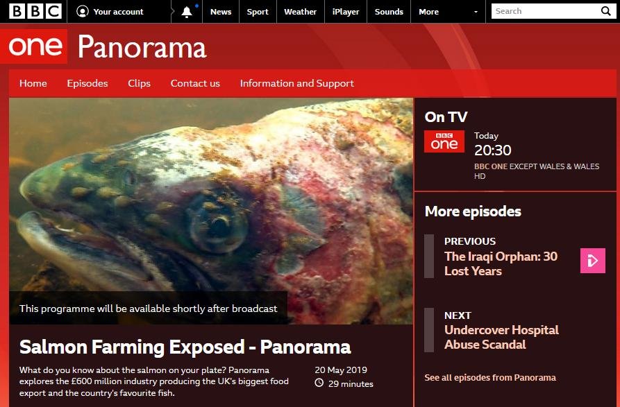 Panorama preview 20 May 2019 #3