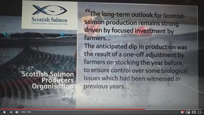 2019 Fish farm survey STV News 30 Sept #5 sspo