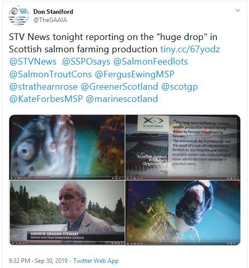 2019 Fish farm survey STV News 30 Sept Tweet