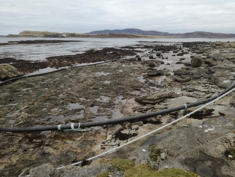 Photo #3 Mull Alec Cowe Photo #3 Mull Alec Cowe