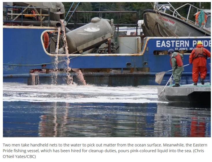 CBC pink liquid Oct 2 2019 #5