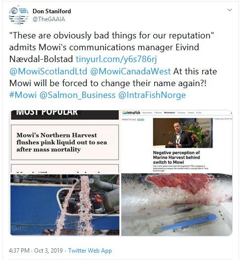 Most Popular Salmon Business Oct 2019 Tweet