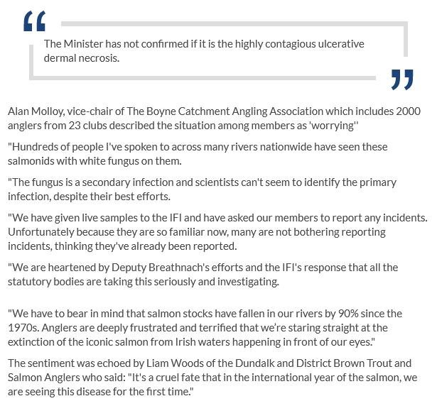 Ireland Breaking News 4 Oct 2019 #3