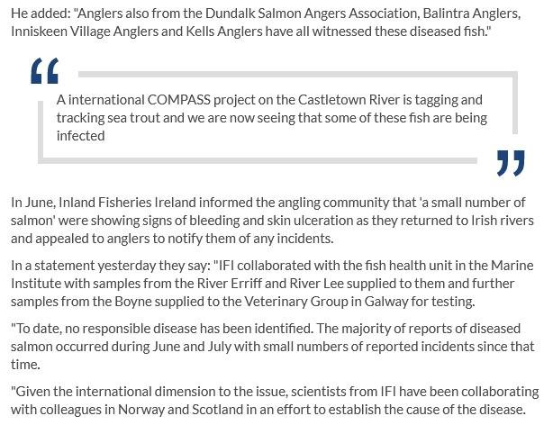 Ireland Breaking News 4 Oct 2019 #4