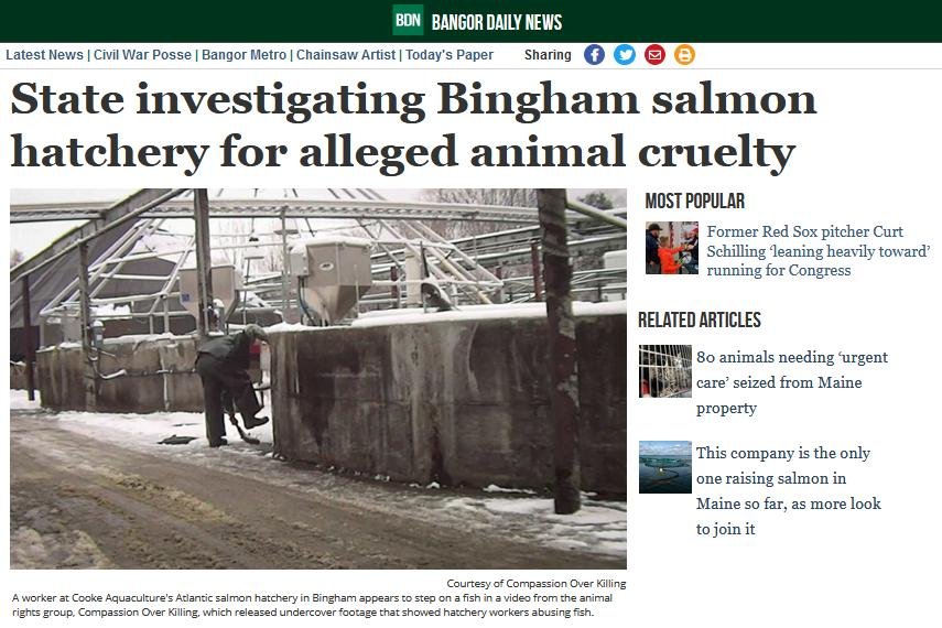 COK Bangor COK Bangor