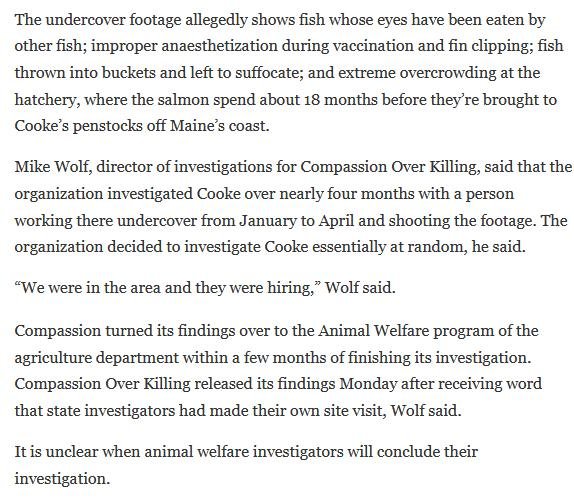 COK Bango #2 COK Bango #2