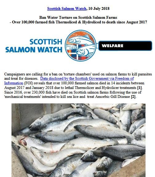 Thermolicer blog #12