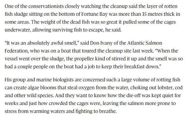 Globe & Mail awful smell Oct 2019 #2