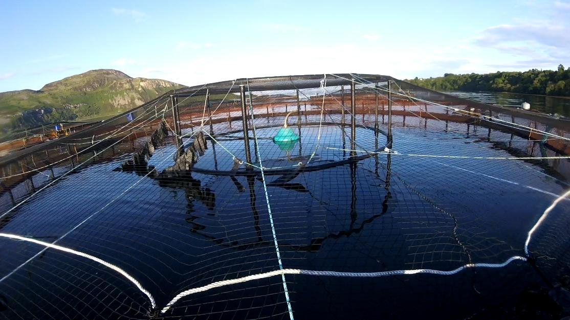 Photo Arran #17 Holy Isle backdrop GOPRO 1194 59 secs Photo Arran #17 Holy Isle backdrop GOPRO 1194 59 secs