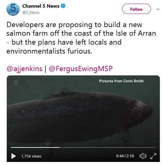 Channel 5 with Corin footage 17 June 2019